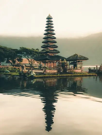 Aerial view of Bali villas in rice terraces at sunset